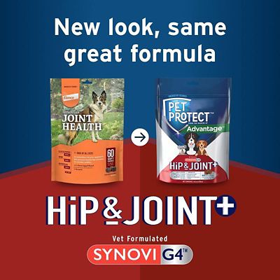 Image showing  Hip and Joint with Synovi G4 Soft Chews for Dogs