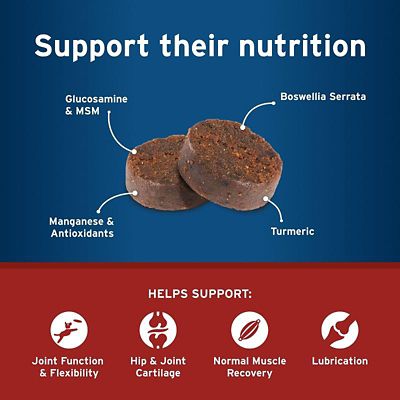 Image showing  Hip and Joint with Synovi G4 Soft Chews for Dogs