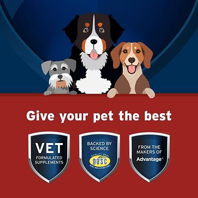 Image showing  Hip and Joint with Synovi G4 Soft Chews for Dogs