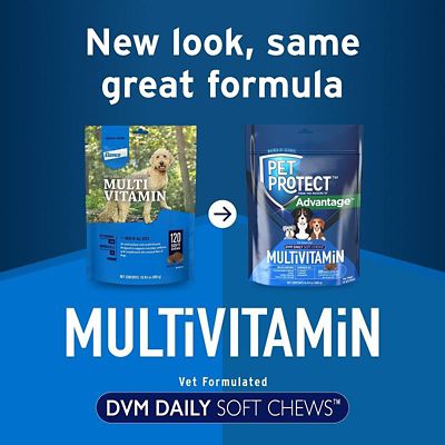 Image showing  Multivitamin DVM Soft Chews for Dogs