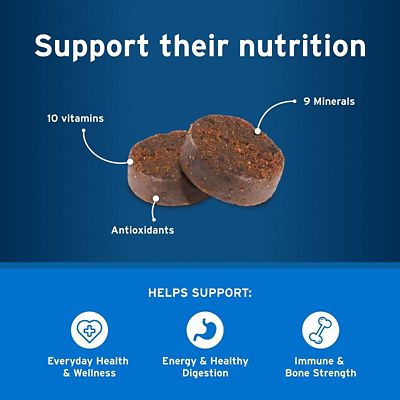 Image showing  Multivitamin DVM Soft Chews for Dogs