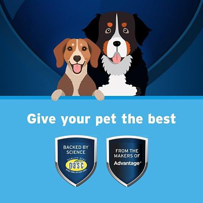 Image showing  Omega-3 Free Form Skin Supplement Snip Tips for Dogs and Cats