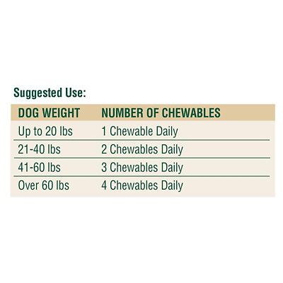 Image showing  Adult Daily Multivitamin Chewable Tablets for Dogs, 75 ct.