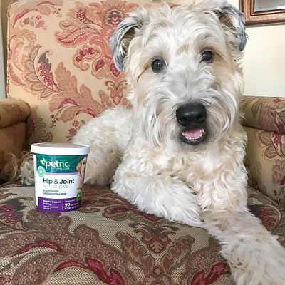 Image showing  Hip and Joint Soft Chews for Dogs, 90 ct.