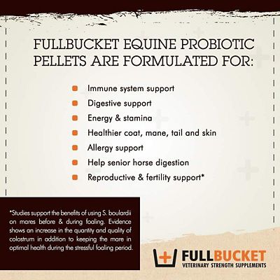 Image showing  Equine Probiotic Pellets, 30 Servings