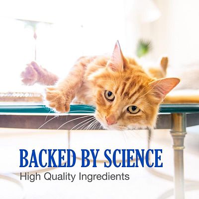 Image showing  Supplement Chewable Tablets for Dogs and Cats, 45 ct.