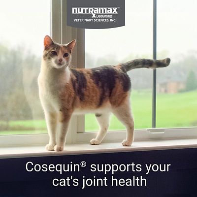 Image showing  Joint Health Supplement Sprinkle Capsules for Cats, 80 ct.