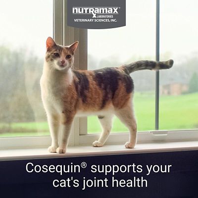Image showing  Maximum Strength Joint Health Supplement Sprinkle Capsules for Cats, 30 ct.