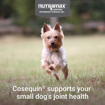 Image showing  Minis Maximum Strength Joint Supplement Soft Chews for Small Dogs, 45 ct.