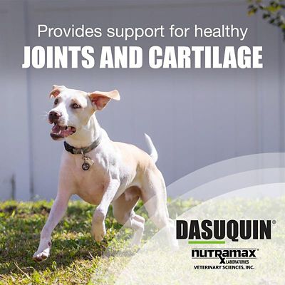 Image showing  Joint Health Supplement Chewable Tablets for Dogs