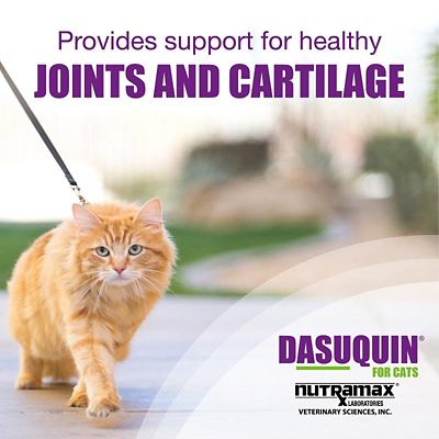 Image showing  Joint Health Supplement Capsules for Cats, 84 ct.