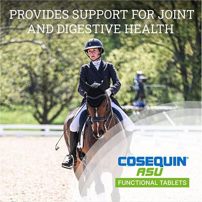 Image showing  ASU Joint and Digestive Health Functional Tablets for Horses, 240 ct.