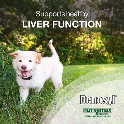 Image showing  Denosyl Liver Supplement Tablets