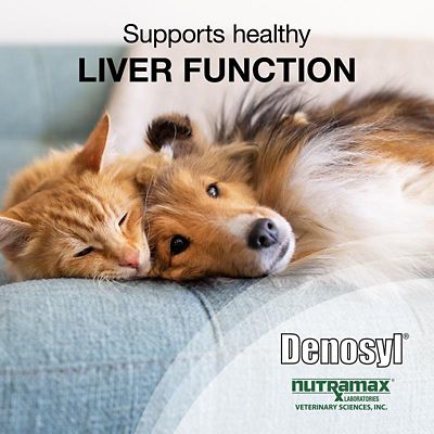 Image showing  Denosyl Liver Supplement Tablets