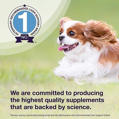 Image showing  Liver Support Tablets, 30 ct.