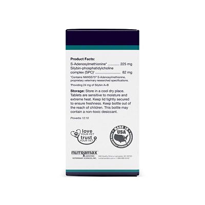 Image showing  Liver Support Chewable Tablets for Dogs