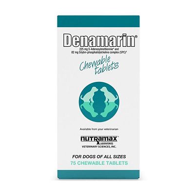 Image showing  Liver Support Chewable Tablets for Dogs