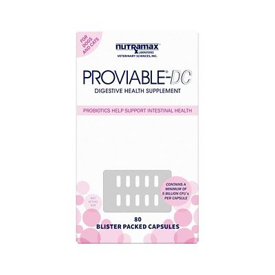 Image showing  Proviable-DC Digestive Supplement for Dogs and Cats