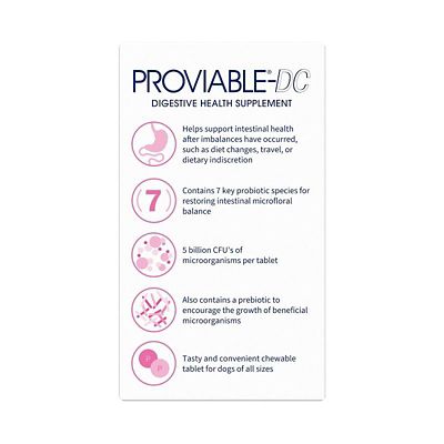 Image showing  Digestive Health Supplement Chewable Tablets for Dogs, 60 ct.