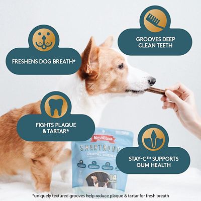 Image showing  Smartmouth Original Dental Dog Chews