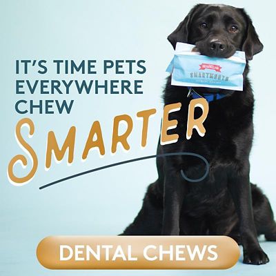 Image showing  Smartmouth Original Dental Dog Chews