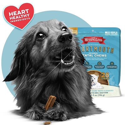 Image showing  Smartmouth Original Dental Dog Chews