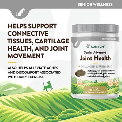 Image showing  Senior Advanced Joint Health Supplement Soft Chews for Dogs