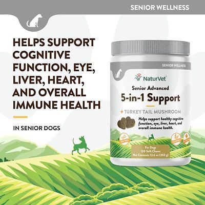 Image showing  Senior Advanced 5-in-1 Support Soft Chews for Dogs