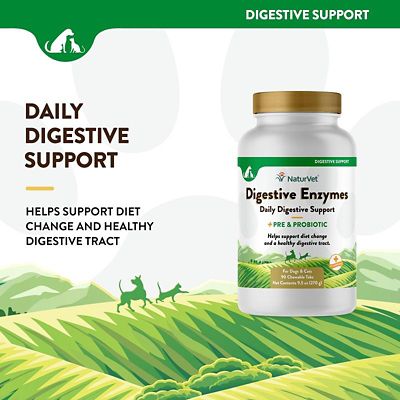 Image showing  Digestive Enzyme Chewable Tablets for Dogs, 90 ct.