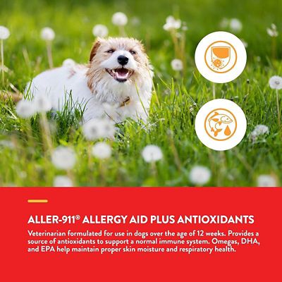 Image showing  Aller-911 Allergy Aid Plus Antioxidants Soft Chews for Dogs and Cats, 180 ct.