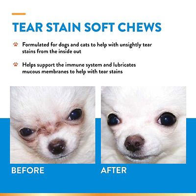 Image showing  Tear Stain Supplement Plus Lutein Soft Chews for Dogs and Cats