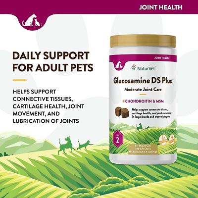 Image showing  Glucosamine DS Plus Soft Chews for Dogs and Cats, Level 2