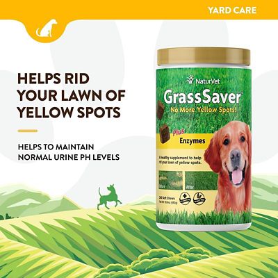 Image showing  GrassSaver Urine Supplement Soft Chews for Dogs