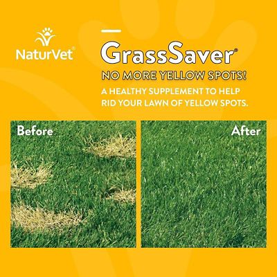 Image showing  GrassSaver Urine Supplement Soft Chews for Dogs