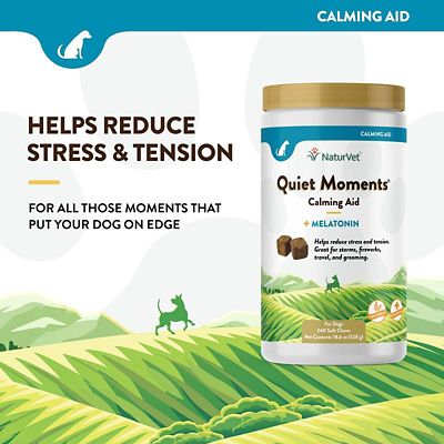 Image showing  Quiet Moments Melatonin Soft Chewable Calming Supplement Treats for Dogs, 70 ct.