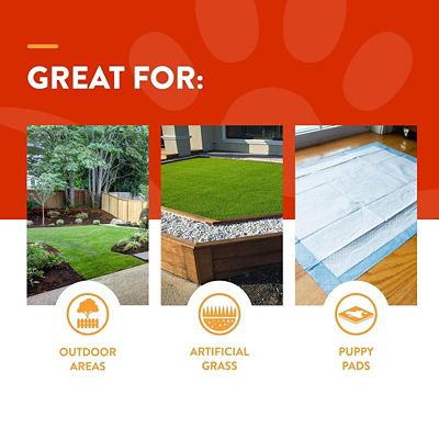 Image showing  Potty Here Training Aid Spray, 32 oz.