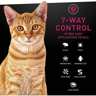 Image showing  Fast-Acting Topical Flea and Tick Treatment for Cats, 3 ct.