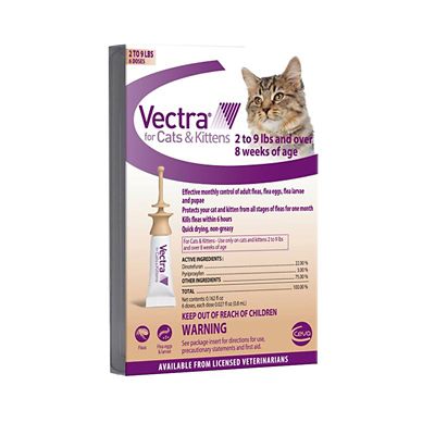 Image showing  Topical Flea Treatment for Cats