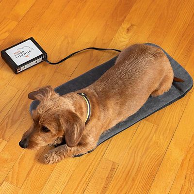 Image showing  Loop Lounge tPEMF System