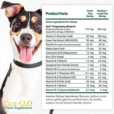 Image showing  Vision Supplement Liquid Gelcaps for Medium and Large Dogs, 90 ct.