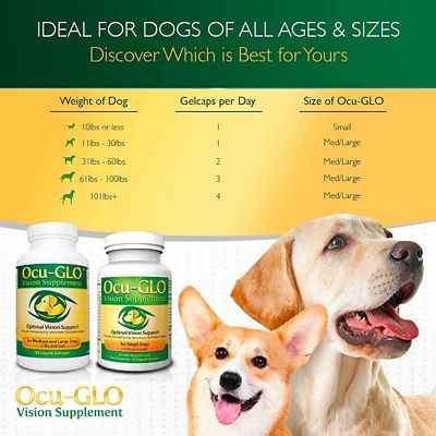 Image showing  Vision Supplement Liquid Gelcaps for Medium and Large Dogs, 90 ct.