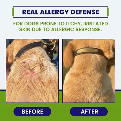 Image showing  Skin Allergy Supplement Soft Chews for Dogs, 120 ct.