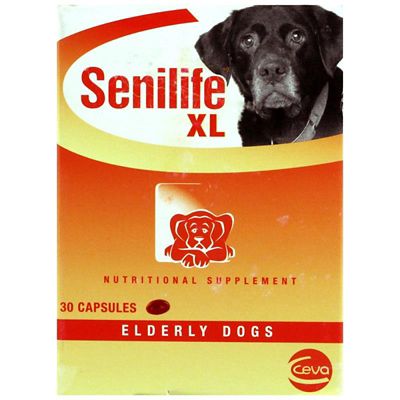 Image showing  Nutritional Supplement Capsules for Elderly Dogs