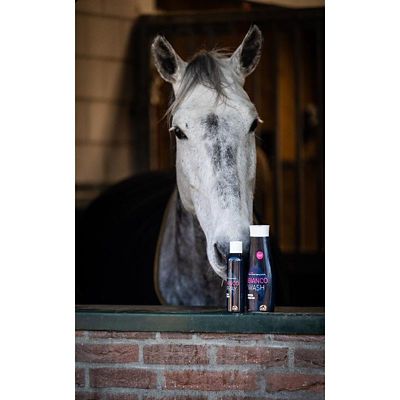 Image showing  Bianco Horse Spray and Wash Bundle, 200 mL Spray Bottle, 500 mL Wash Bottle
