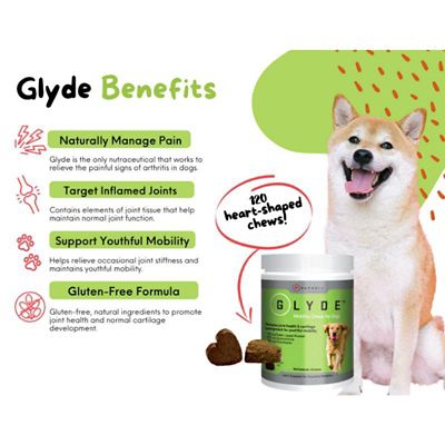 Image showing  Mobility Supplement Chews for Dogs