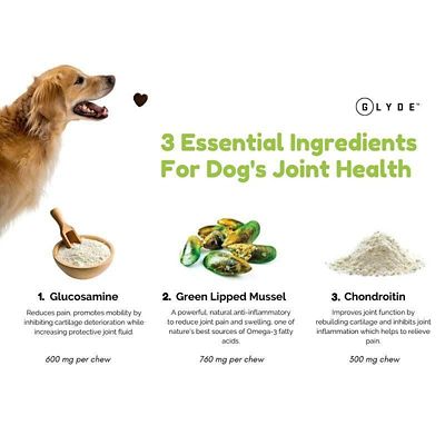 Image showing  Mobility Supplement Chews for Dogs