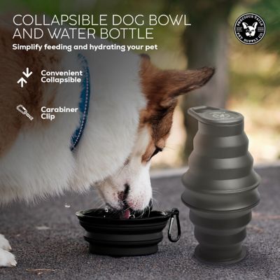 Image showing  Feed N Sip 2-in-1 Collapsible Dog Bowl and Water Bottle, Portable Pet Feeding Solution for Travel