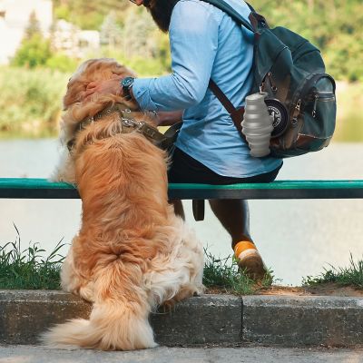 Image showing  Feed N Sip 2-in-1 Collapsible Dog Bowl and Water Bottle, Portable Pet Feeding Solution for Travel