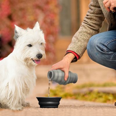 Image showing 5 th Precious Tails Feed N Sip 2-in-1 Collapsible Dog Bowl and Water Bottle, Portable Pet Feeding Solution for Travel