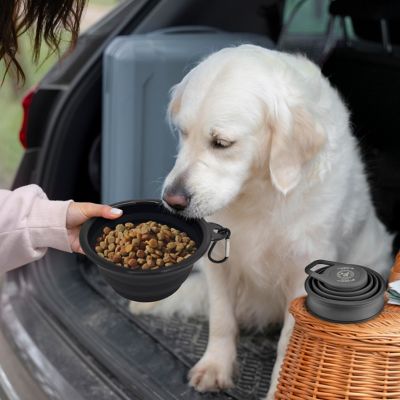 Image showing 6 th Precious Tails Feed N Sip 2-in-1 Collapsible Dog Bowl and Water Bottle, Portable Pet Feeding Solution for Travel